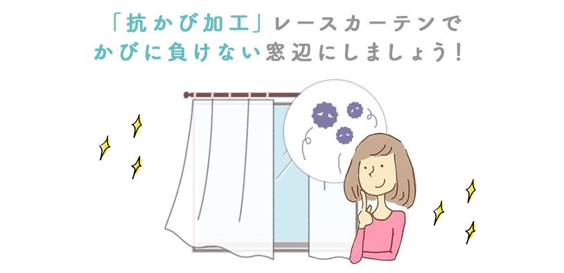 カビが生えづらいレースカーテンの説明